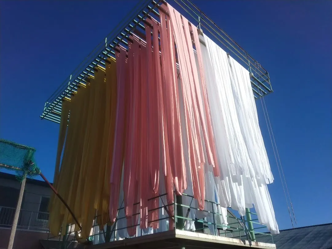 洗濯日和が続いてますね。